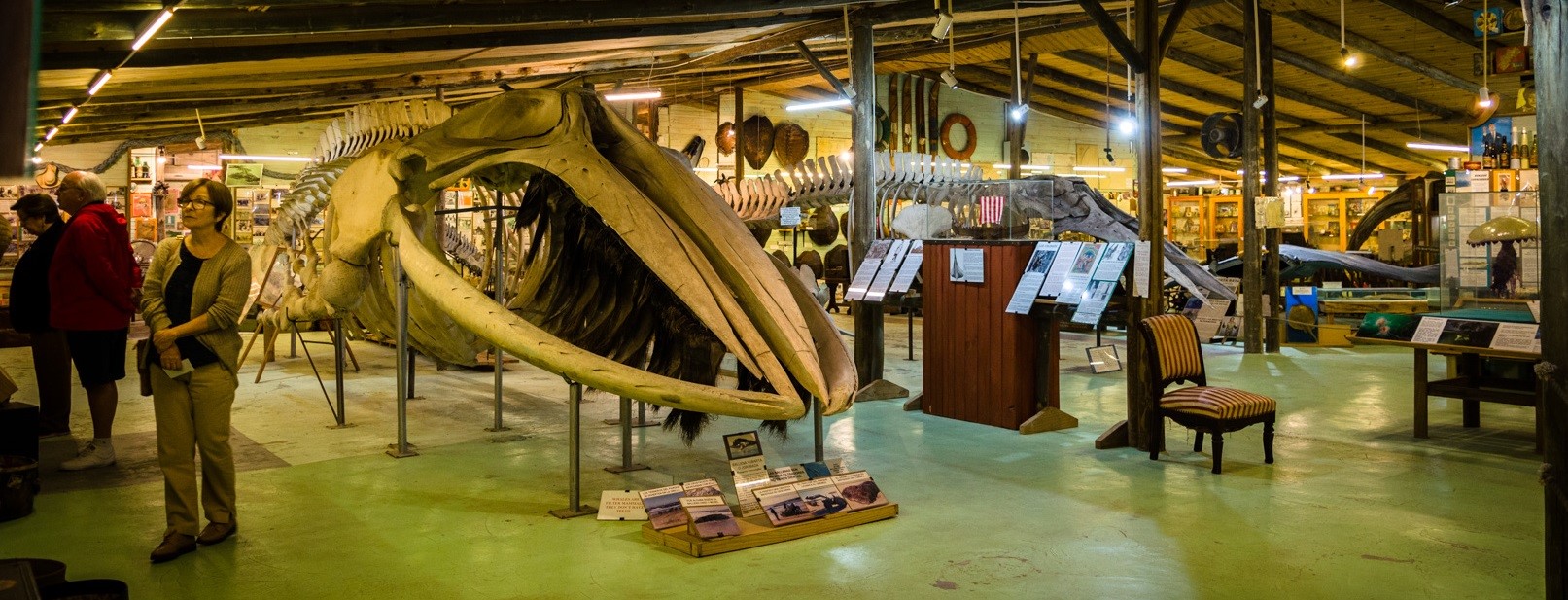Museo del Mar