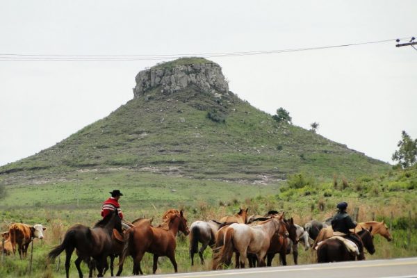 CERRO, 2