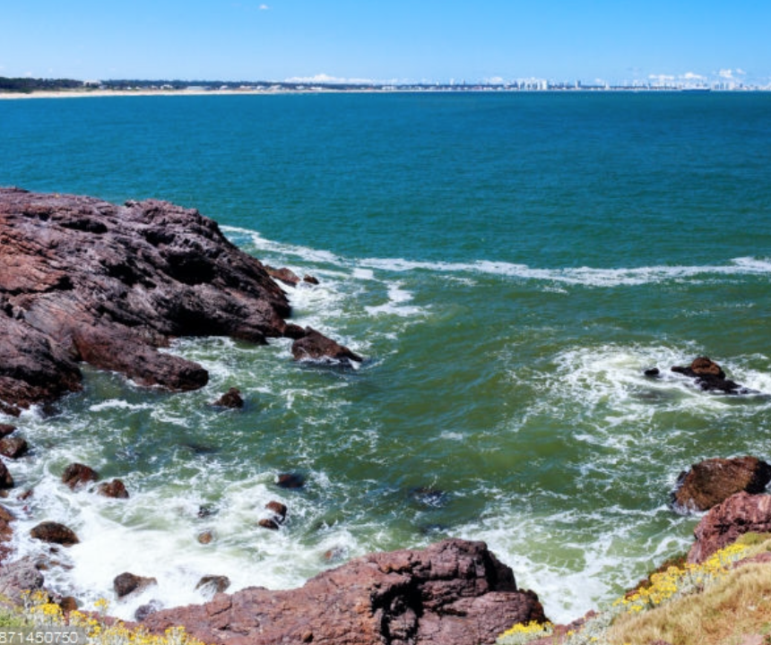 Restaurantes en Punta Ballena