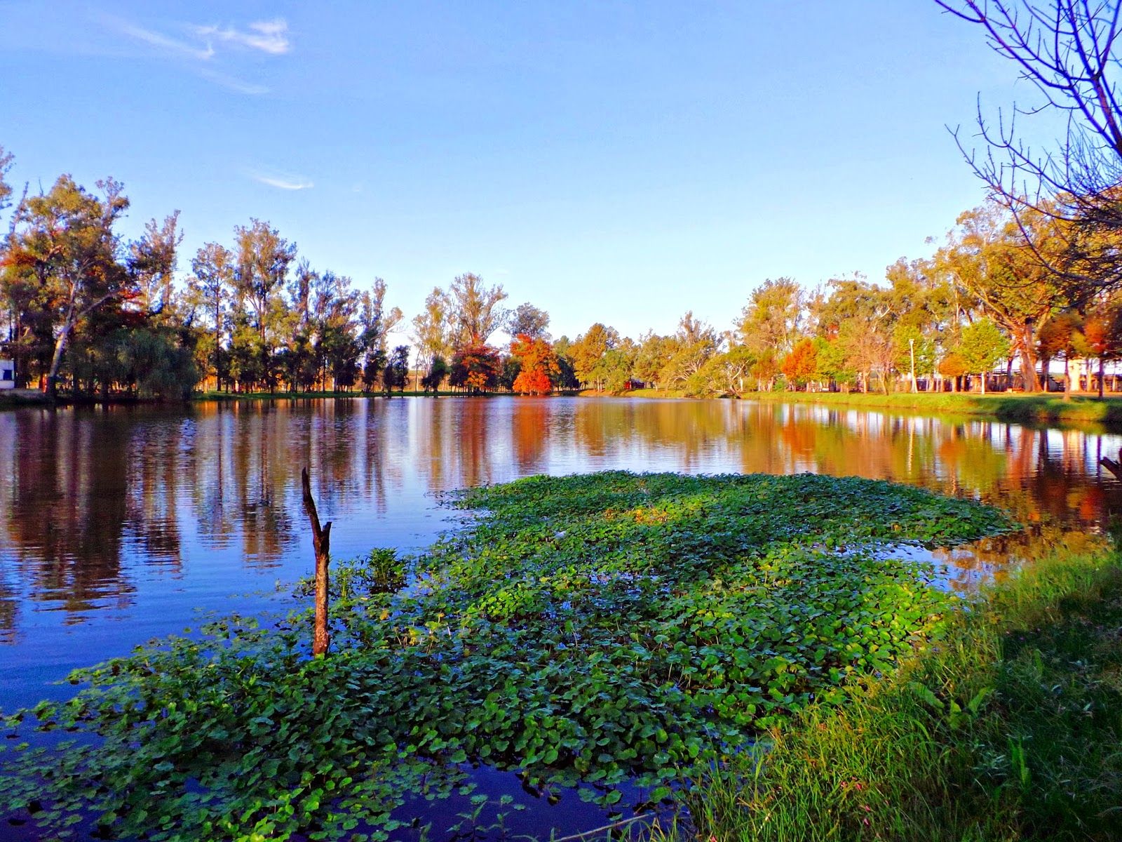 Laguna de las Lavanderas