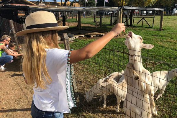 LAPATAIA, 3 LAPATAIA, 3