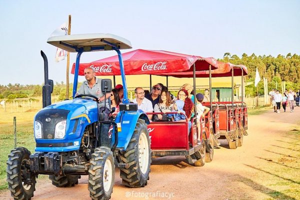 LAPATAIA, 5 LAPATAIA, 5