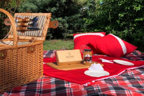 LAPATAIA, 6 LAPATAIA, 6