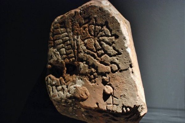 MUSEO (2)