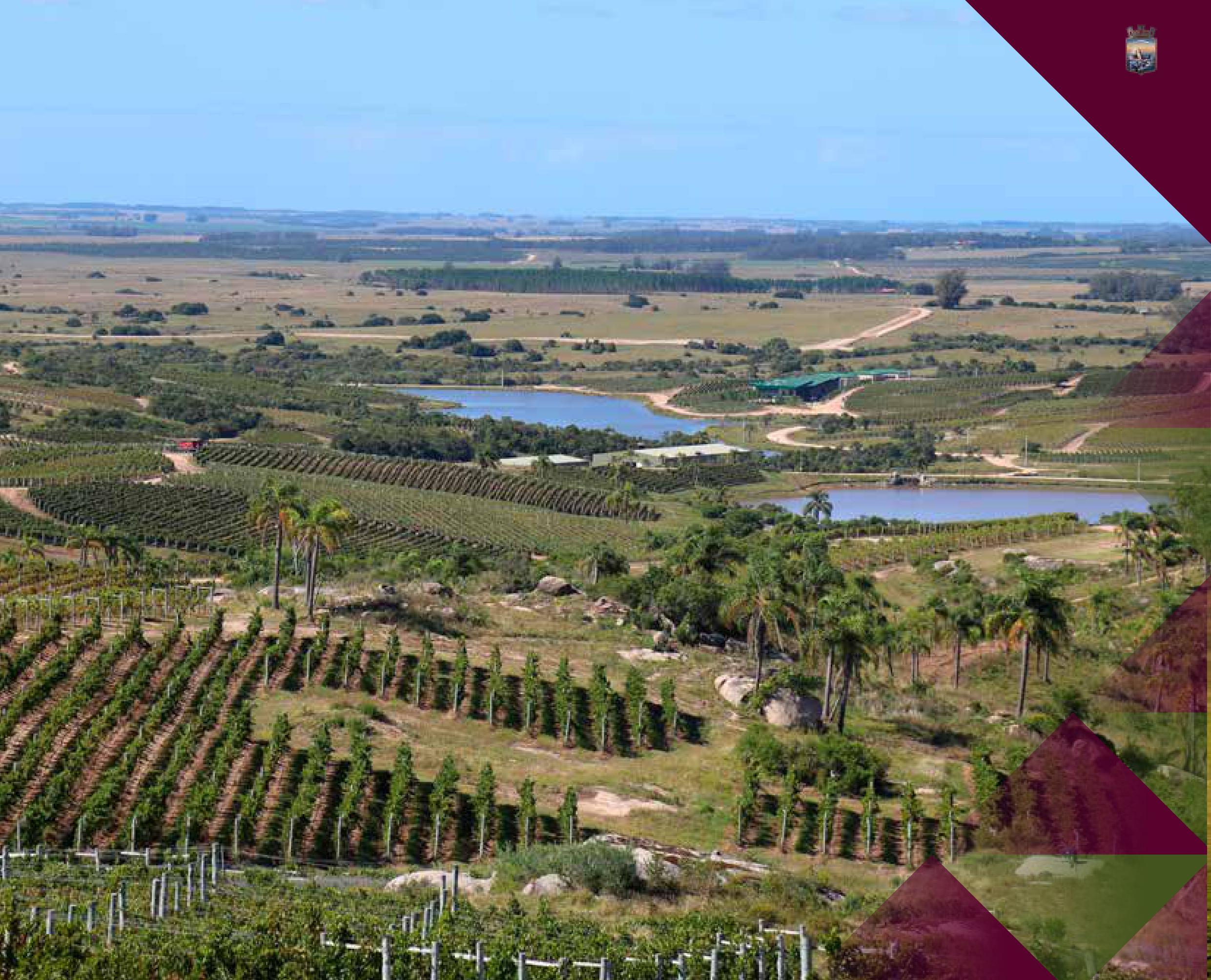 Caminos de la Vid y los Olivos