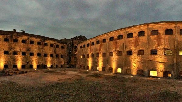 WAC-MONTV-4-3-1-1024x337