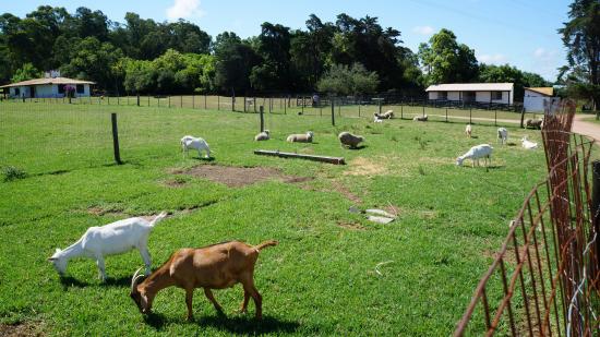 lapataia, 2 lapataia, 2