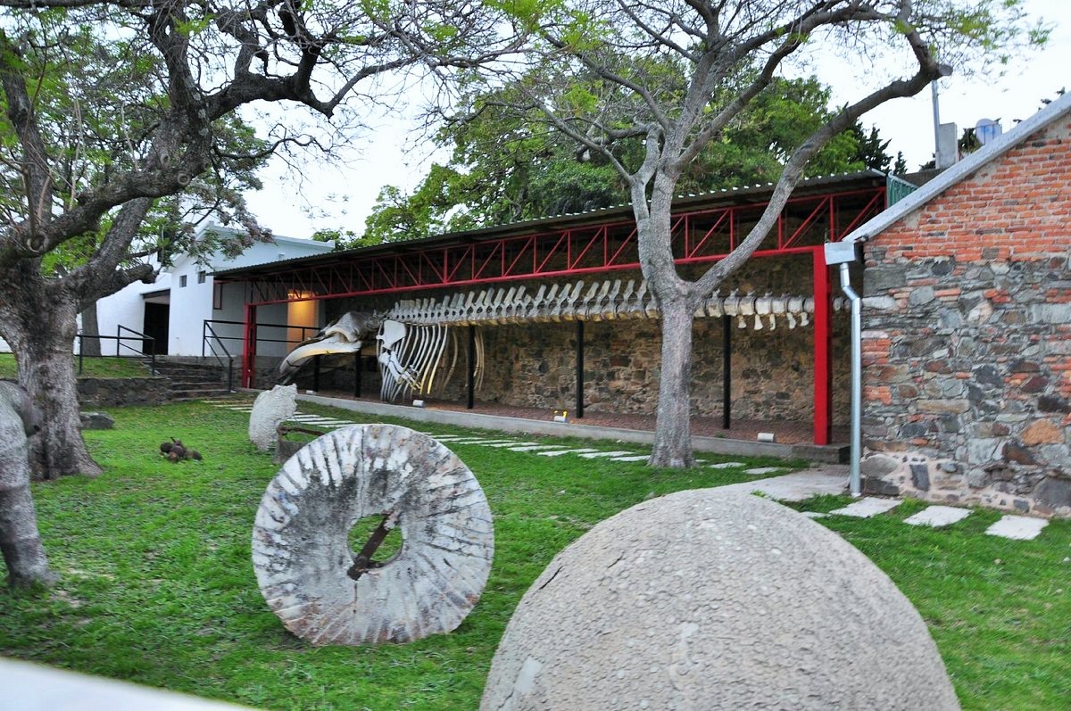 Museo Municipal Dr. Bautista Rebuffo